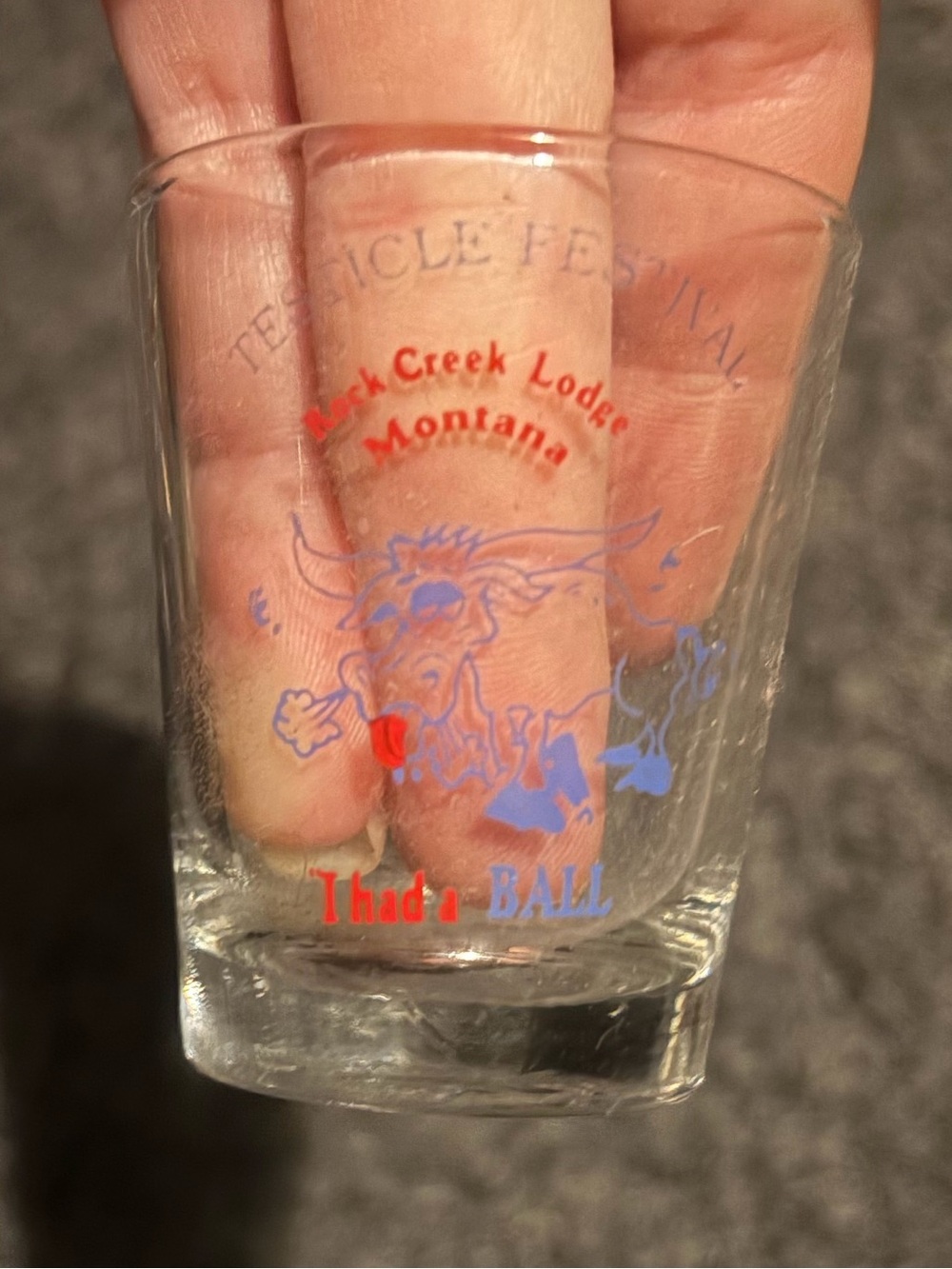 Testicle festival at rock creek lodge Montana shot glass
